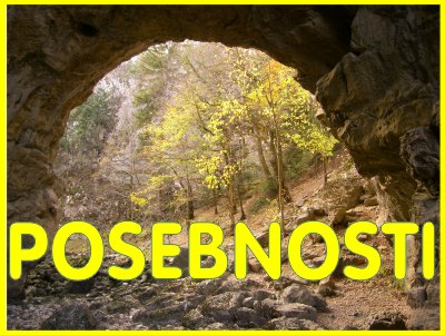 POSEBNOSTI